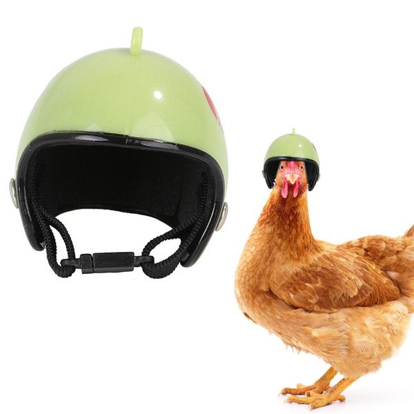 

pet helmet chicken helmet hat helmets small pet bird hat hood cool fashion outdoor caps for p props protect pet accessories