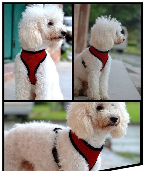 

nylon pet mesh harness soft net dog mini vest adjustable breathable puppy harness dog supplies 8 color fa1923