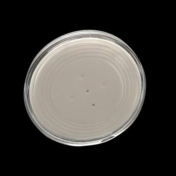 

plastic coin storage cases capsules holder 70mm large clear container display box with pad ring zc0764