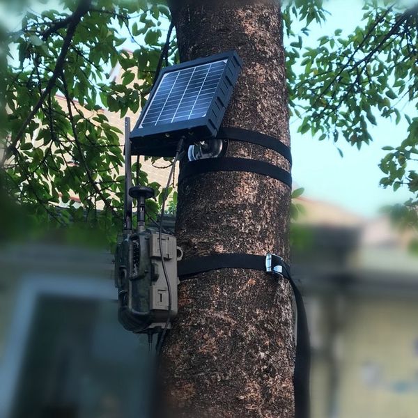 

top! -solar панель солнечной энергии зарядное устройство для 4g охота камеры охота фотокамеры