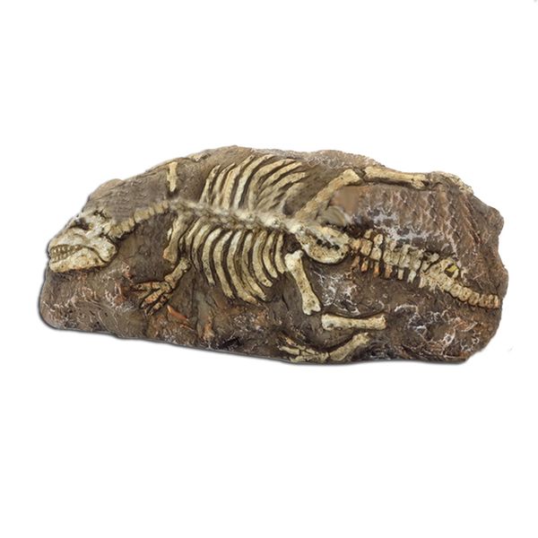 

new qualified resin rock aquarium dinosaur dragonfly fossil ornament decor for fish tank