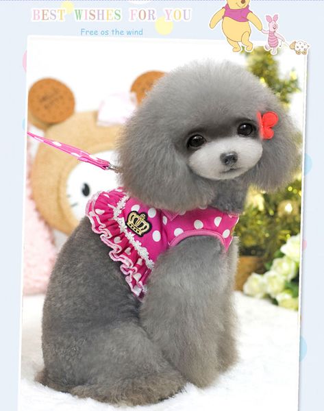 

new pet supplies dog chest straps traction ropes pet clothes have two colors are available and have good quality ing