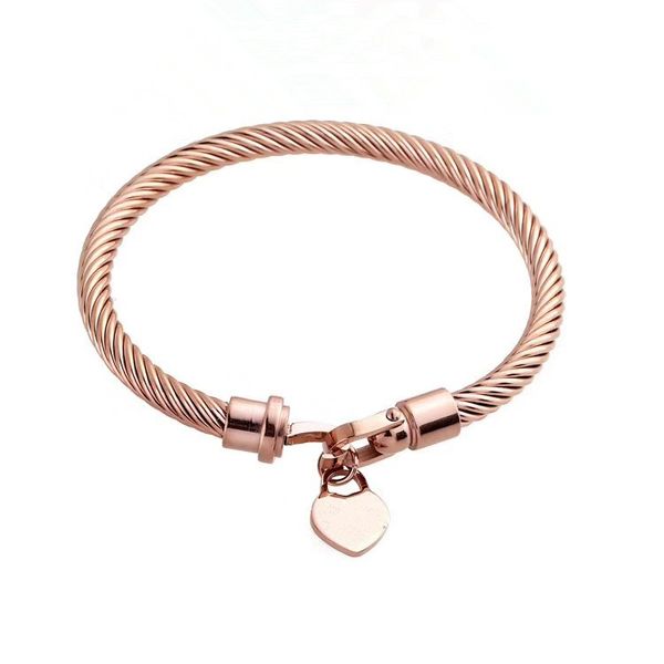 

stainless steel jewelry wholesale steel wire bracelet men and women lovers bracelet love tag bracelet gold designer bangles, Black