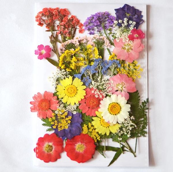 Typr-3 1 Set 40 Stück gemischte getrocknete gepresste Blumen + Blätter Pflanzen Herbarbelege für Schmuck, Postkarten, Fotorahmen, Handyhüllen, DIY