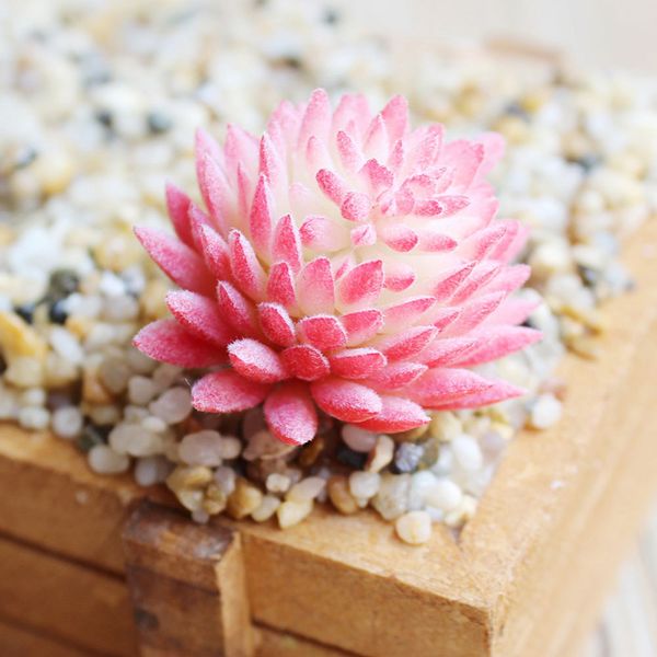 

1шт land лотос сочной травы пустыни искусственный завод поддельные flower garden decor
