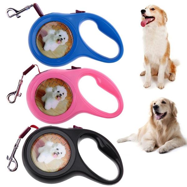 

5m/3m dog collar leashes automatic retractable dog elastic leashes for dogs harness puppy rope walking dogs leash