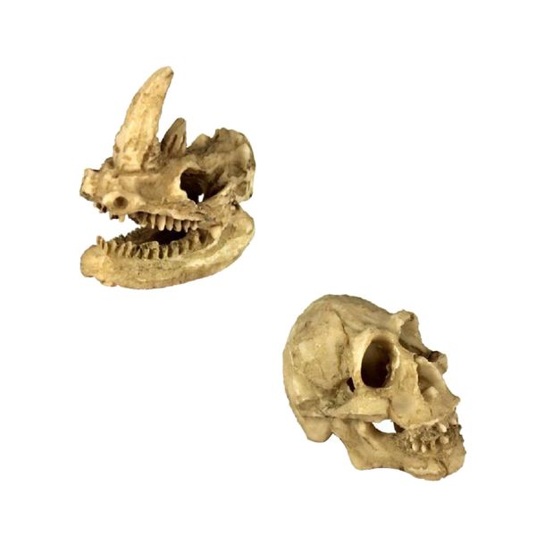 

set of 2, reptile vivarium decoration human & rhino skull hide cave nest aquarium underwater ornament