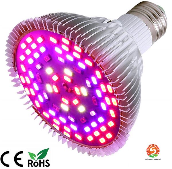 100W LED Grow Lâmpada completa SpectrumE26 / E27 soquete cresce luzes para hidropônico Jardim Indoor Greenhouse Suculenta Veg Flower