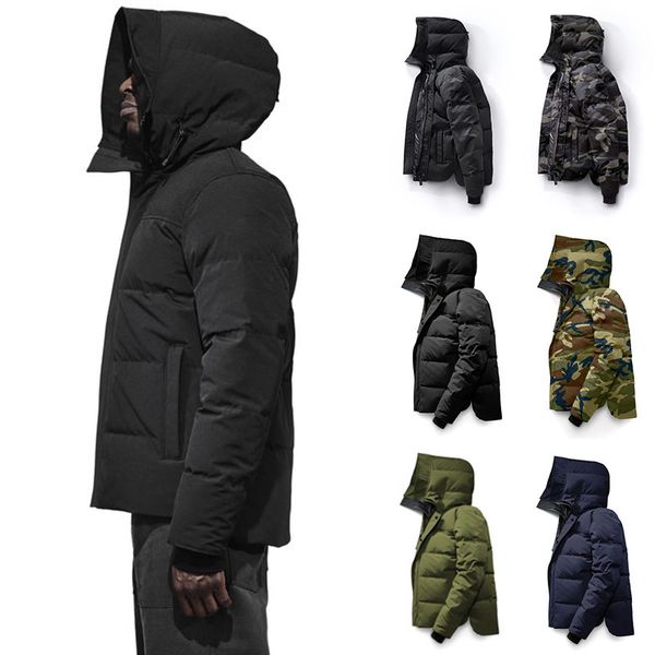 

Down e Parkas toto_clothes