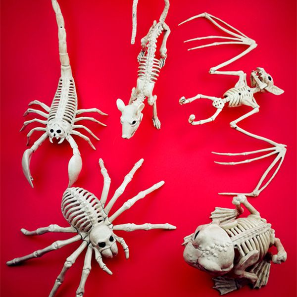 

halloween decorations adornments animal ornaments skeleton skull bone dogcatmous hallowmas horror haunted house party decoration