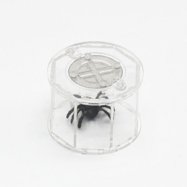

spider insect reptile tank vivarium cage box clear acrylic terrarium clear