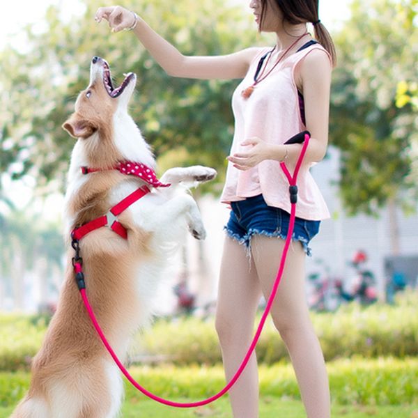 

нет-pull собака harness поводок собаки нейлон pet поводок для кошки регулируемого фланели проложенных малого большого жгуте жилета
