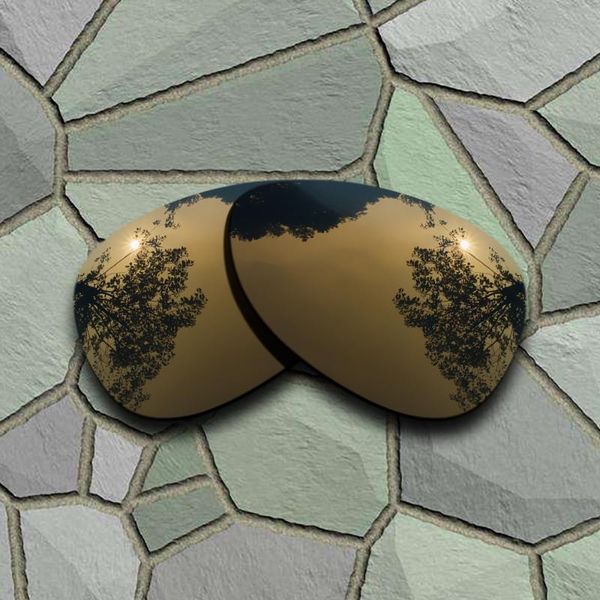 

bronze copper sunglasses polarized replacement lenses for warden