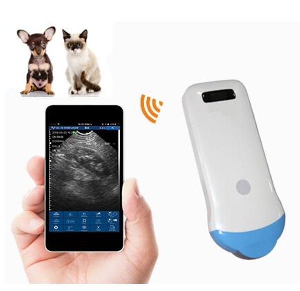 

2020 new wireless ultrasound micro convex array probe uprobe with reverse harmonic function