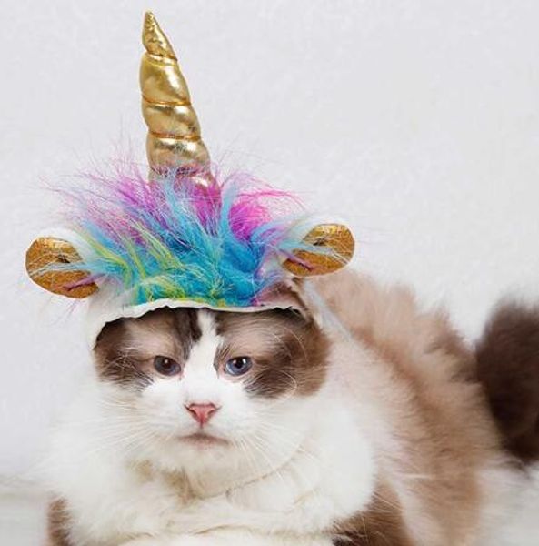 Halloween Pet Unicorn Forma Decorativa Chapéu De Partido Fontes Cat Cat Pet Headwear Cos Halloween Pet Traje Acessório GB1285