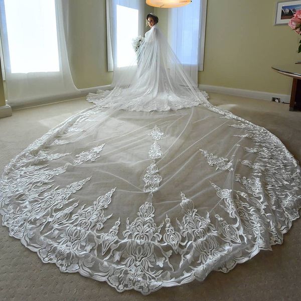 

2019 customized 5m long wedding veils one layers lace applique luxury bridal veils with comb ing, Black