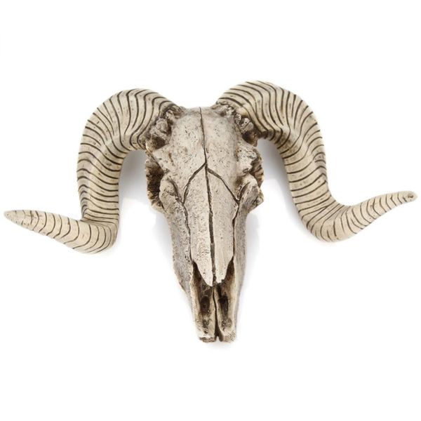 

head ornament animal sculpture hanging display decoration skull sheep's head