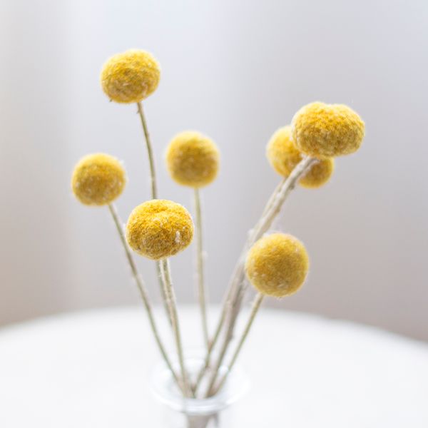 

20pcs home decoration dried flowers natural round yellow billy balls wedding flowers bouquet