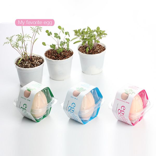 

2019 new arrival creative mini pots planters diy lucky egg potted plant office deskgarden decor 66da