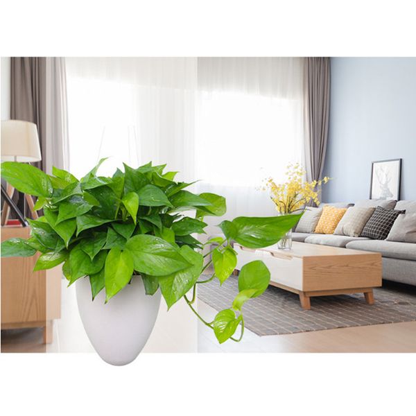 

hanging plastic self - watering flower pot succulent pot with chain hook