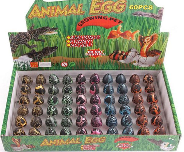 USA 5Pcs//Set Magic Hatching Growing Dinosaur Funny Toys Gift Water Grow Kids Toy