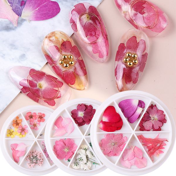 

25pcs/wheel dried flowers nail art decals 3d decoration real flower leaf slider uv gel bloom petal manicure polish tips, Silver;gold