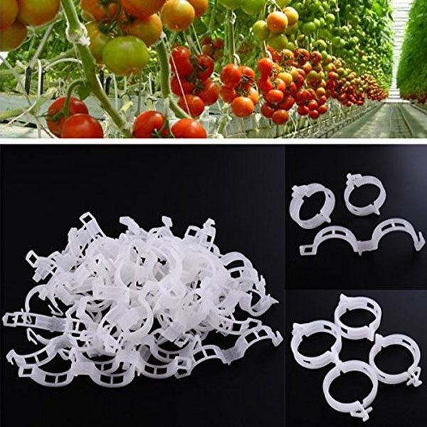

150 pcs plant support garden clips,tomato vine clips,tomato trellis clips for vine vegetables tomato to grow upright and makes p