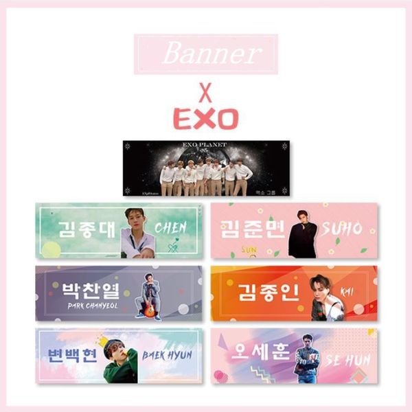 2020 Kpop Exo World Tour Concert Support Fabric Banner Baekhyun