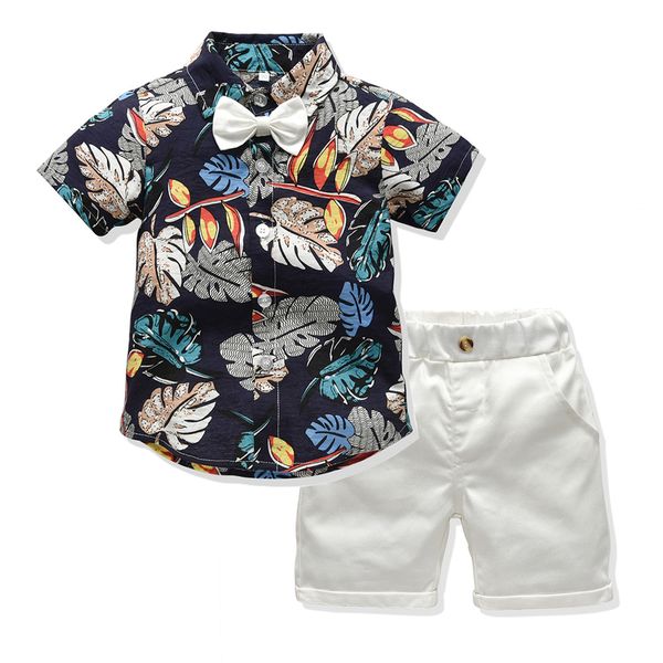 

children tracksuit 2019 hawaii kid boys clothes set short sleeve floral t-shirt+short pants 2pcs baby boy beach clothes set, White