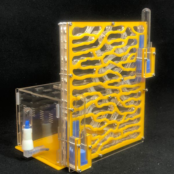 

6layers ant виноградной влага нагул ant farm акрил насекомые вилла муравейники вилла pet расширенного mania для дома муравьи