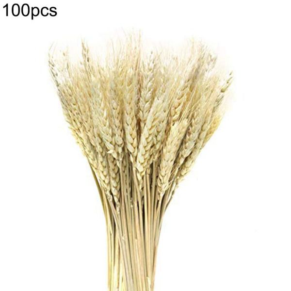 

home desk decor 100pcs/lot artificial natural wheat dried flowers bouquet high simulation plant for wedding party decoration
