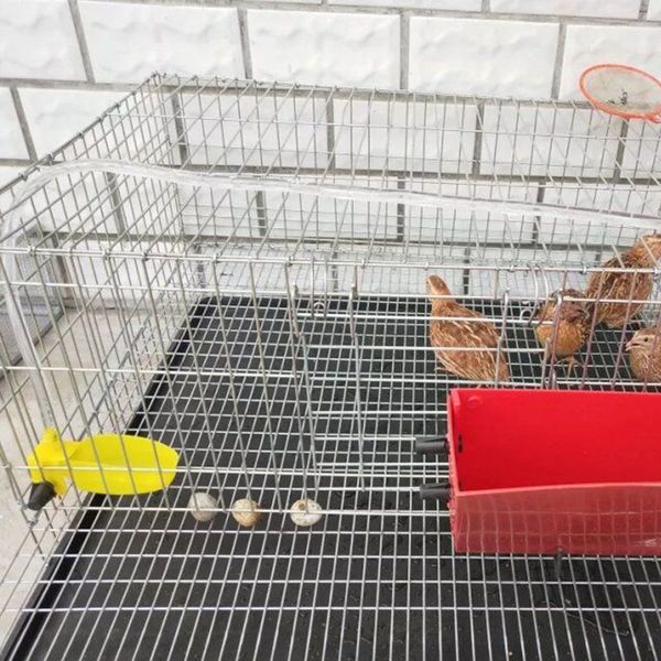 

домание живоне кѬоли клека болой пеѬепелинй кђѬник длиной 70 м кѬ