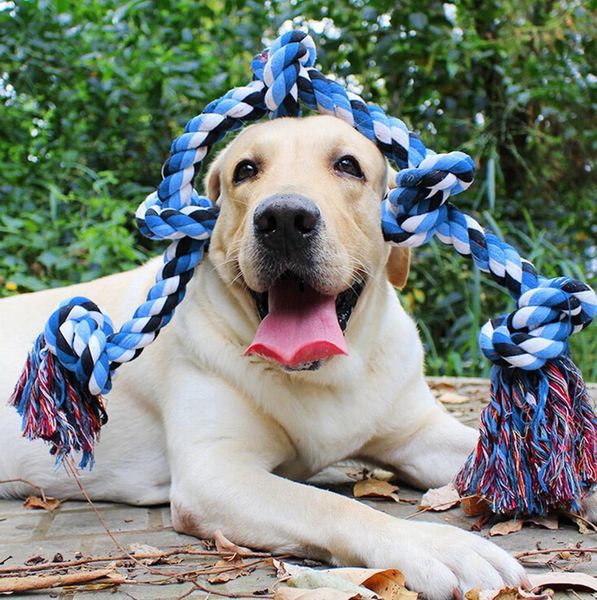 

двойной узел укус веревки молярная чистка зубов сопротивление укусу игрушки для домашних животных обучающая игра и хлопчатобумажная веревка