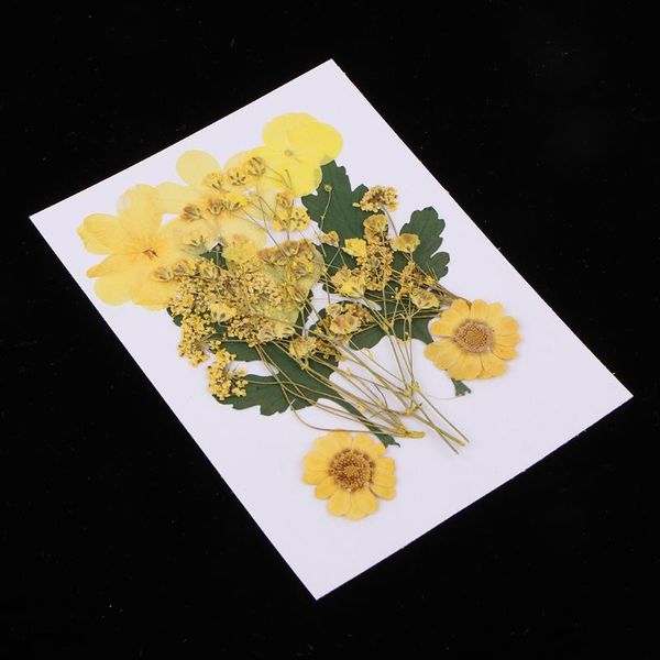 

1 bag yellow natural pressed dried flower real dry leaves for diy scrapbooking art craft bookmark card making