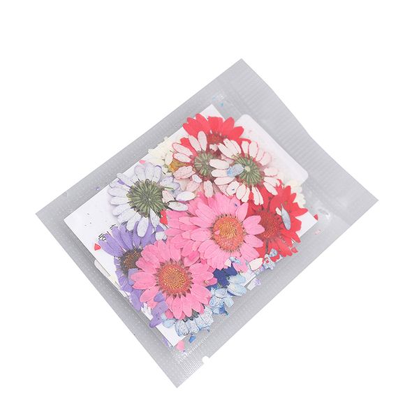 

for art craft beautiful real pressed flower dried flowers scrapbooking resin jewelry craft making phone caseg