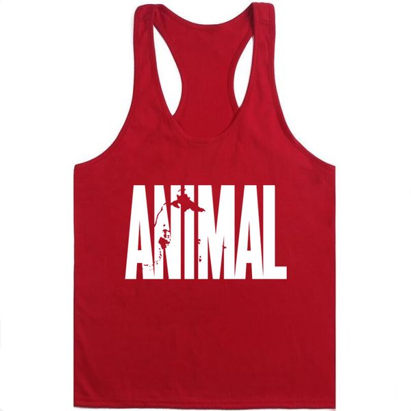 

Animal tringer bodybuilding tank olid gym inglet mu cle men racer back ve t tee bodybuilding tringer tank men mu culation