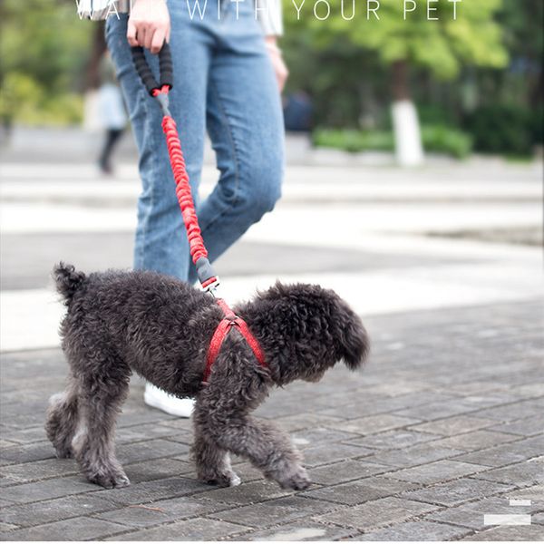 

nylon dog leash high elastic pet walking bungee guide training rope suitable for medium large dogs
