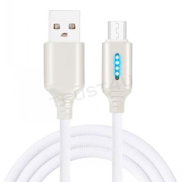 Smart Intelligent LED In lega di zinco intrecciato 1m 3FT 2A Ricarica rapida Micro cavo USB di tipo c per samsung s6 s7 s8 note 7 8 htc android phone 6 7