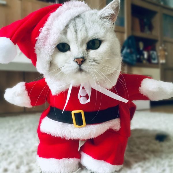 

winter christmas pet cat costumes outfits for funny cat kitty santa dogs clothing small clothes year cats new xmas kitten claus