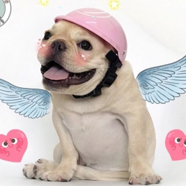 Acheter Casquette De Chien Drôle Chien Casque De Moto Pet Chapeau Petit Moyen Chiens Cap Accessoires Pour Chiens Chihuahua Yorkshire Pet Produits Chat