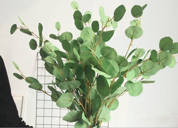 

Artificial Silver Dollar Eucalyptus Leaf Spray in Green Leaves Drop Dollar Tree Indoor Outside Home Garden Weeding Noth Euro Style