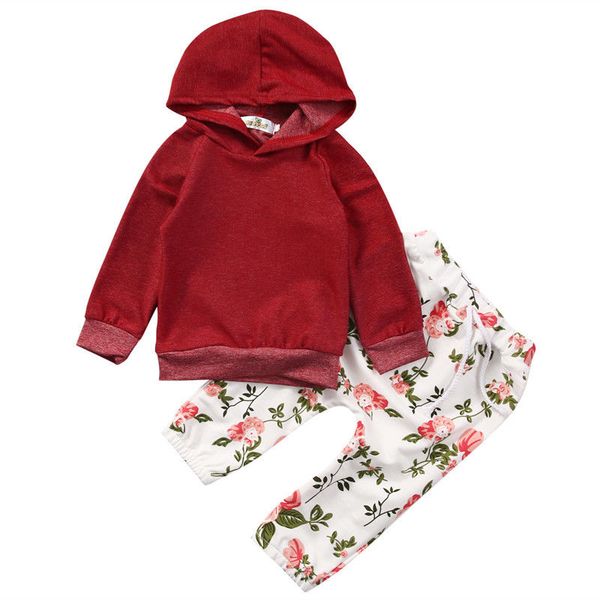

emmababy горячая модная одежда для новорожденных девочек с капюшоном толстовка топы печатные брюки 2шт наряды толстовки комплект одежды 0-24, Pink;blue