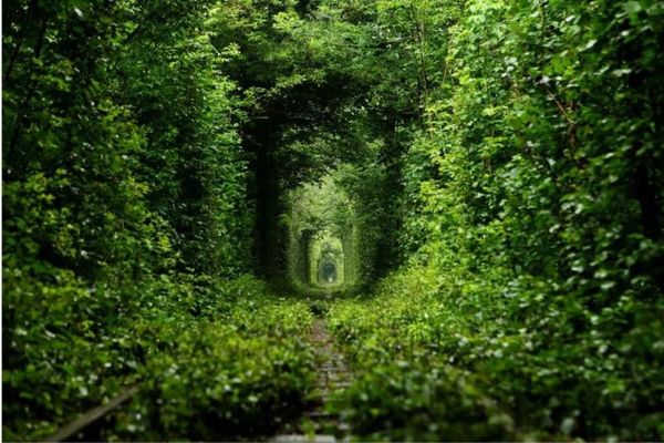 

фото на заказ обои для стен 3 д для гостиной красивый туннель