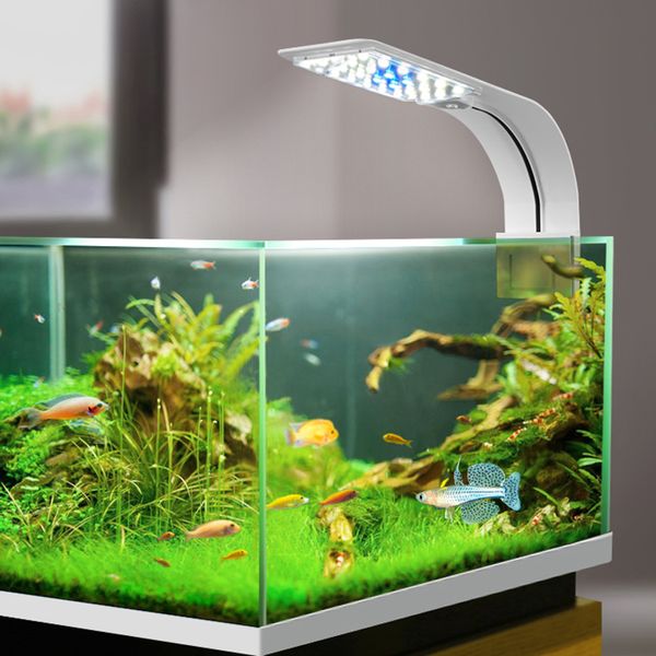 fish tank light small