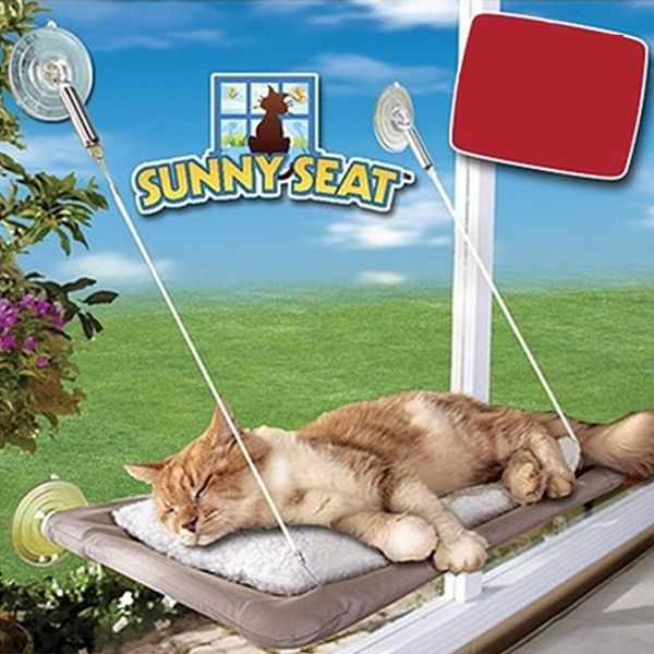 

pet cat house bed mats sucker type steel wire hang line hammock fossa toy nest pet accessories supplies products