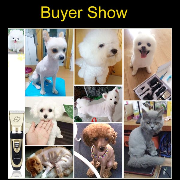 

2019 пѬоеионална Ѭижка kit пеѬезаѬжаемй pet cat обак ѬиммеѬ вокого кае