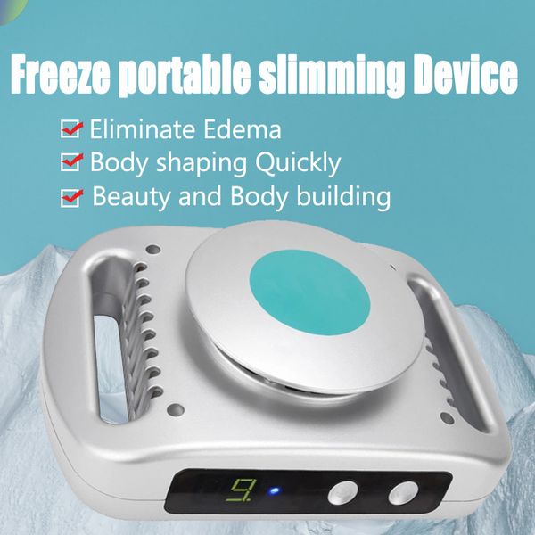 

2019 mini portable home use cryo fat ing machine lipo slimming machine cryopad body shaper slimming machine ce/dhl ing