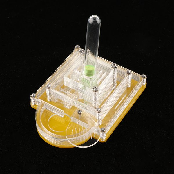 

pyramid design clear ant housing acrylic nest ant feed farm formicarium box