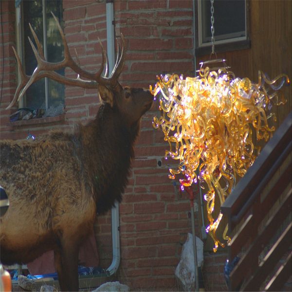 

hand blow glass chandelier for study room flower chandelier crystals lighting art glass flower wall sconce led wall lamp