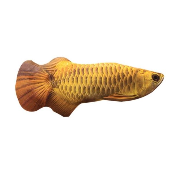 

simulation fish shape doll interactive pets pillow chew bite supplies for cat/kitty/kitten fish flop cat toy catnip toys